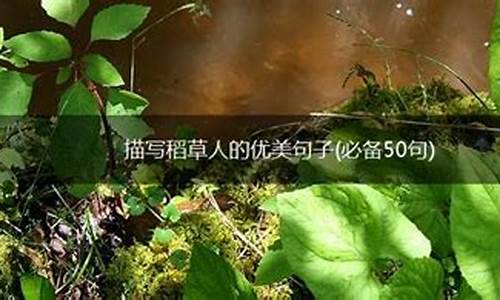 稻草人优美句子短句摘抄大全短句_稻草人的优美语句摘抄