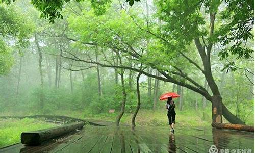 雨中漫步的唯美句子心情说说(30条)_雨中漫步的三个经典句子