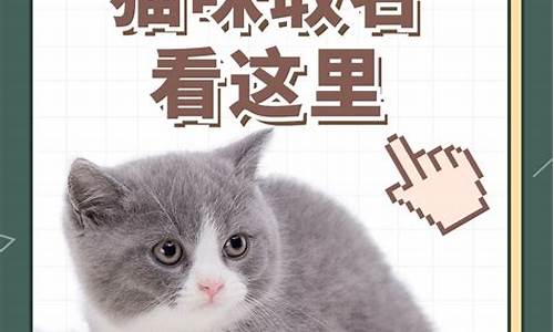 关于猫的昵称_关于猫的昵称女生