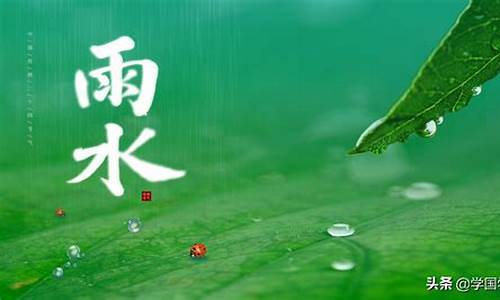 关于雨的句子优美短句_关于雨的句子