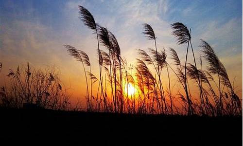 夕阳余晖的唯美句子段落简短_夕阳余晖的唯美句子段落