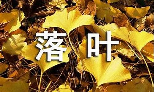 诗歌落叶教案_诗歌落叶