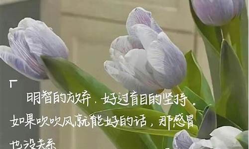 发朋友圈 句子_朋友圈发句子唯美句子