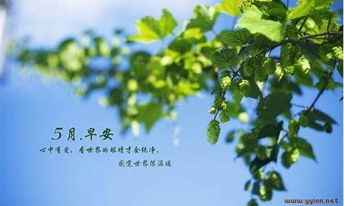 描写5月季节的句子或词语_形容5月季节的句子