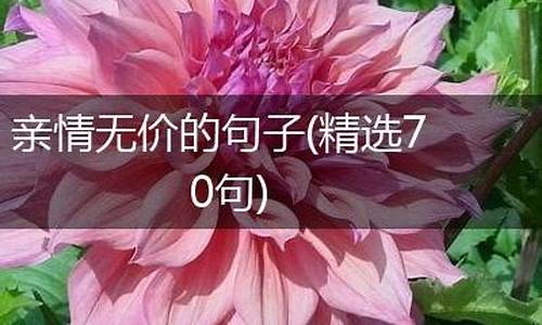 亲情无价的句子_亲情无价的感悟短句